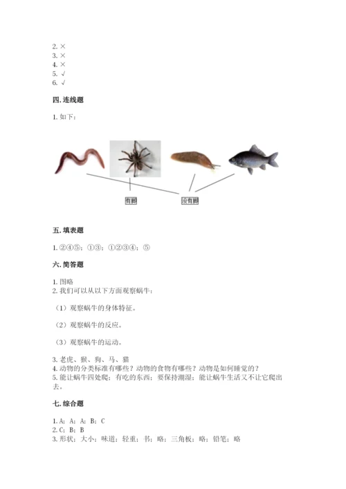 教科版一年级下册科学期末测试卷【模拟题】.docx