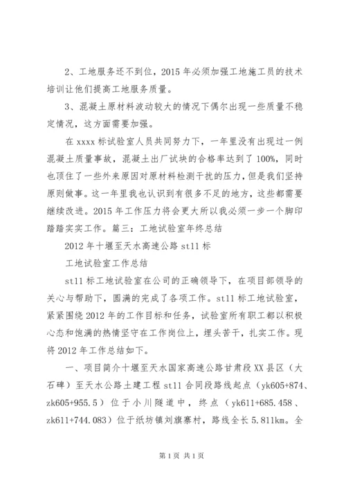 工地试验室主任工作总结.docx