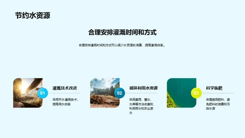 简约风农林牧渔学术答辩PPT模板