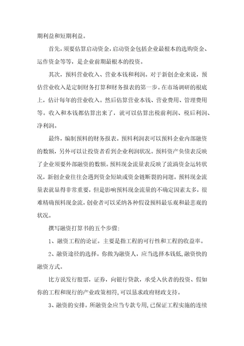 创业融资计划书