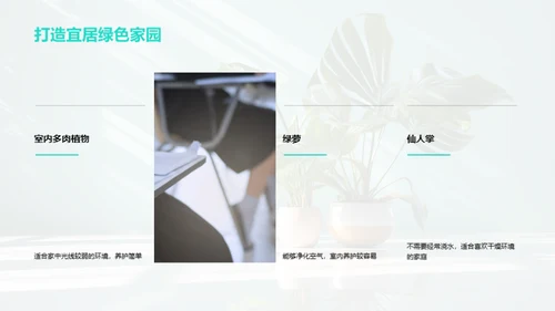 小绿植的奇妙旅程