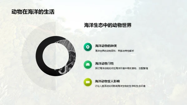 动物世界的奥秘