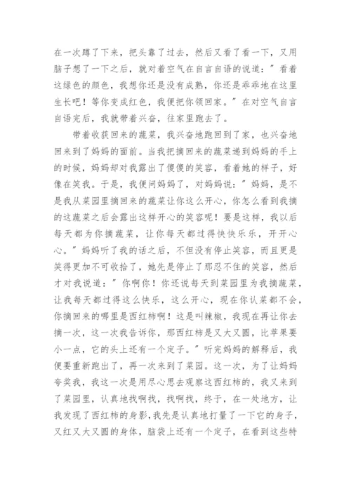 西红柿的故事作文.docx