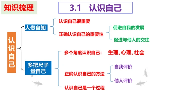 第三课 发现自己  复习课件（20张PPT）