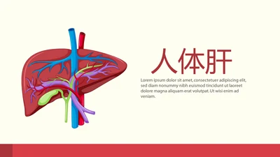 医疗医学人体肝动态PPT