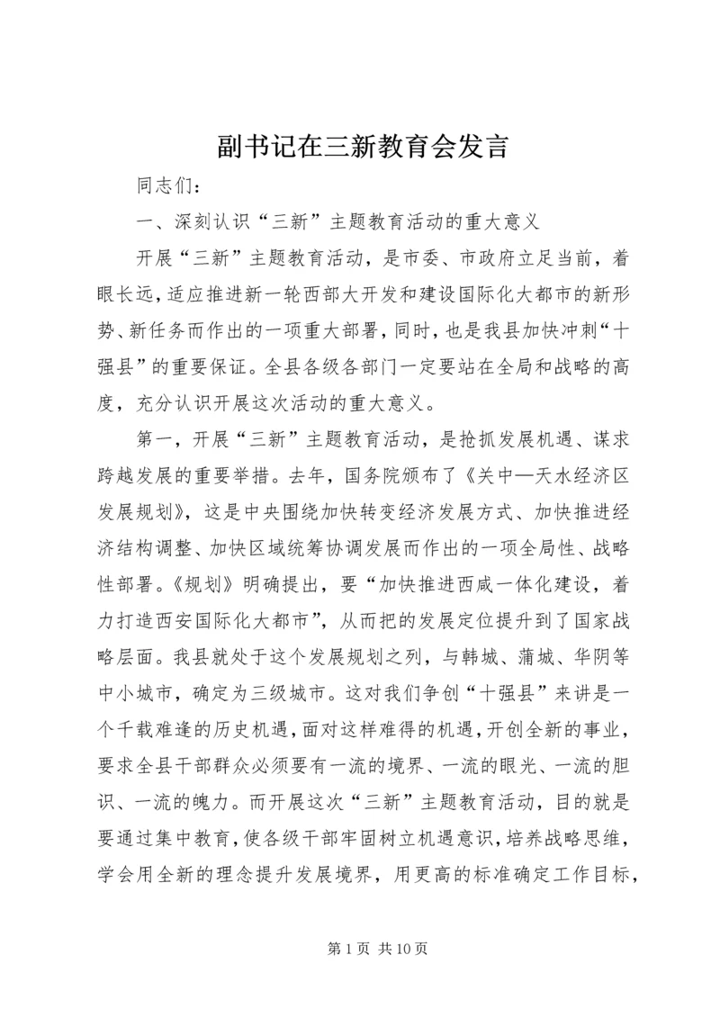 副书记在三新教育会发言.docx