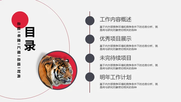 时尚虎年总结汇报通用PPT模板