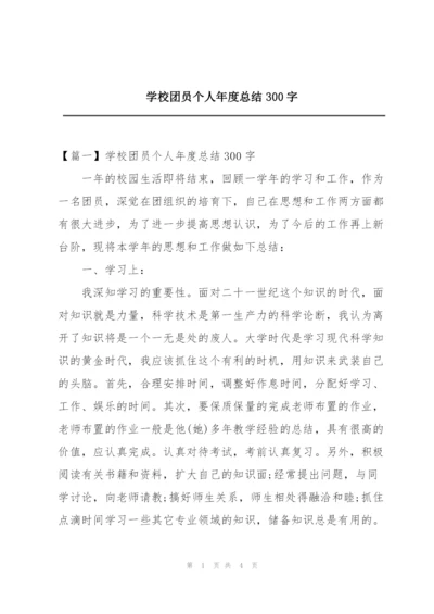 学校团员个人年度总结300字.docx