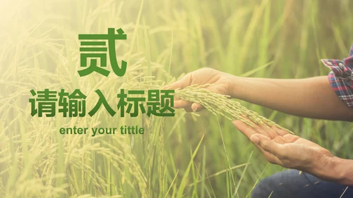 简约实景农民丰收佳节工作汇报PPT模板