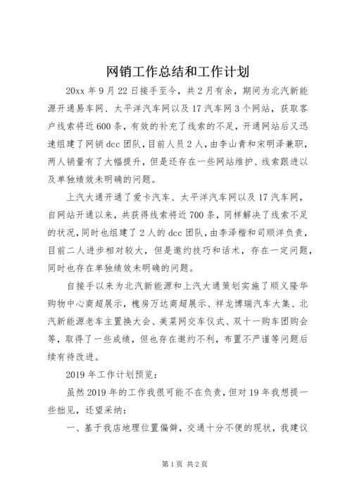 网销工作总结和工作计划.docx