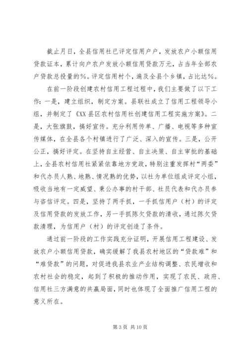 农村信用工程中期推动会议上的发言.docx