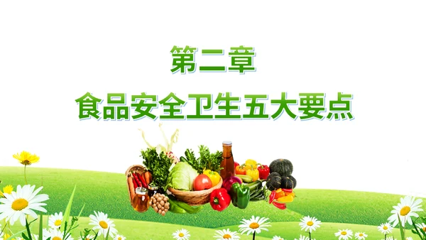 全国食品安全宣传周《食品卫生法》宣传周菜篮子通用PPT模板