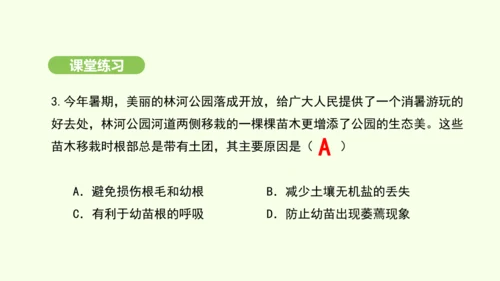 第三单元-第一章-第二节-植株的生长课件-2024-2025学年七年级生物下学期人教版(2024)(