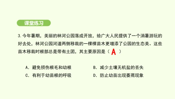 第三单元-第一章-第二节-植株的生长课件-2024-2025学年七年级生物下学期人教版(2024)(