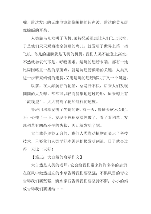 大自然的启示作文450字四年级.docx