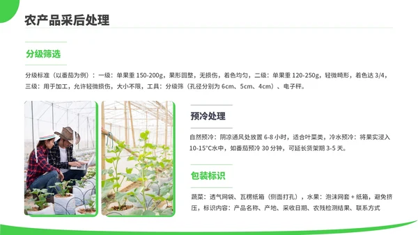 绿色商务风现代农业种植技术PPT模板
