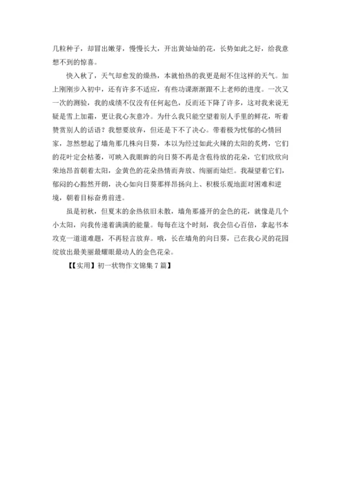 初一状物作文锦集7篇.docx