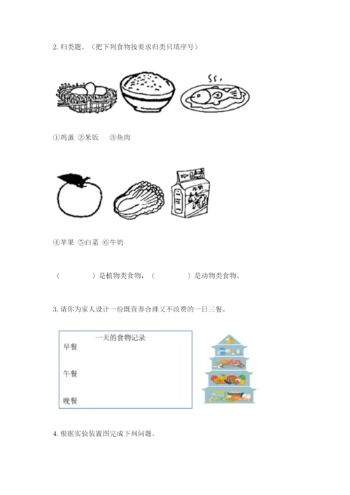 教科版四年级上册科学期末测试卷（模拟题）.docx