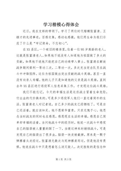 学习楷模心得体会.docx