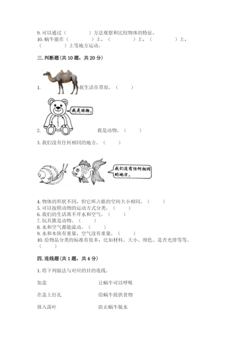 教科版一年级下册科学期末测试卷附参考答案（研优卷）.docx