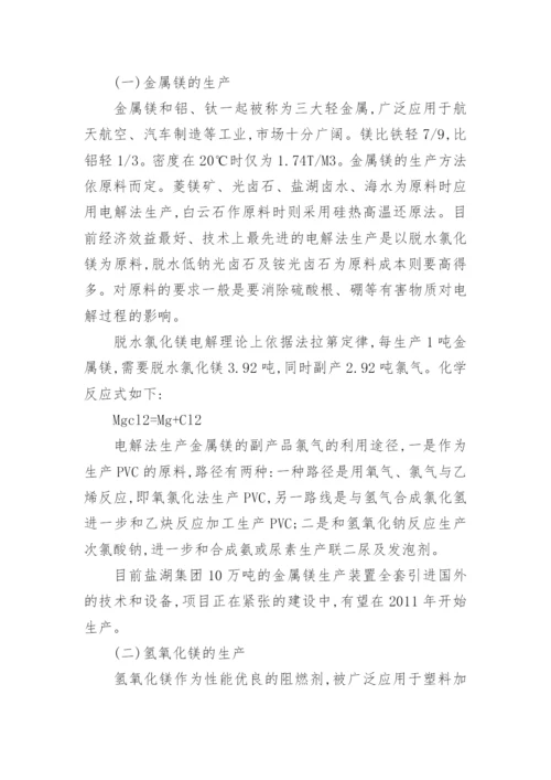 柴达木循环经济的分析论文.docx