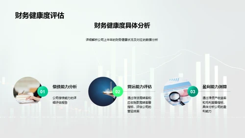 财务健康：分析与规划