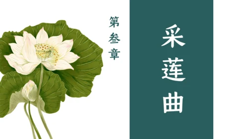 夏雨荷通用PPT模板