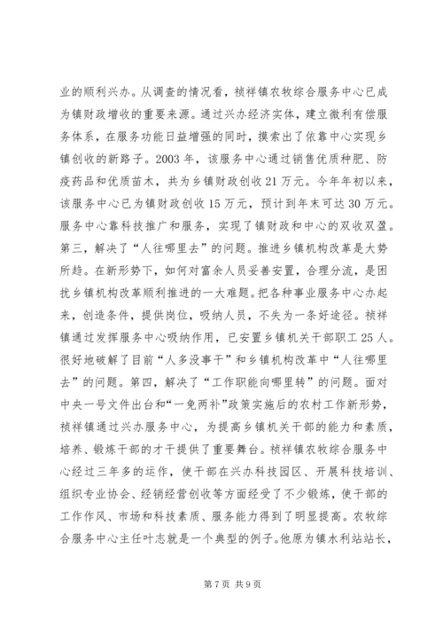 关于×镇农牧综合服务中心建设有关情况的调查 (5).docx