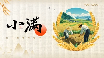 黄色节气之小满PPT模版