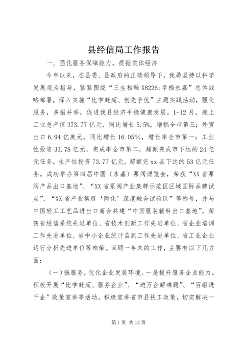 县经信局工作报告.docx