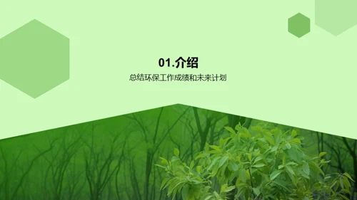 绿色发展：实践与未来