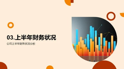 财务半年度分析