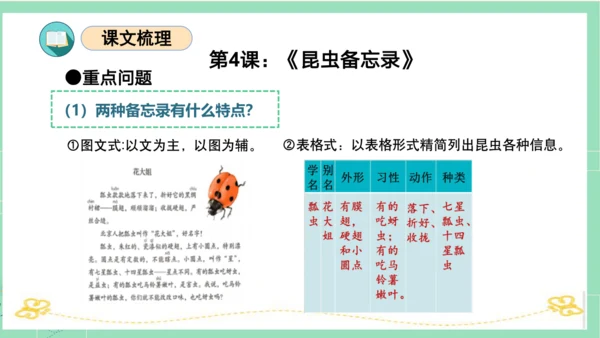 统编版三年级语文下册同步高效课堂系列第一单元（复习课件）