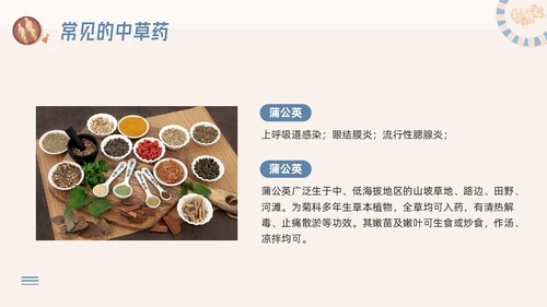 蓝色简约神奇中药草PPT模板宣传PPT动态PPT中医药