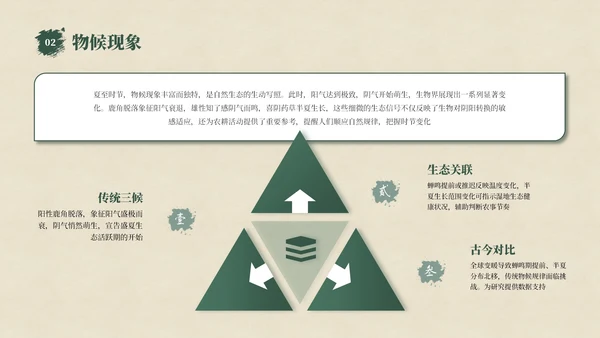 绿色夏至节气介绍通用PPT模板