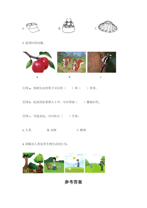 教科版二年级上册科学期末考试试卷含答案【实用】.docx