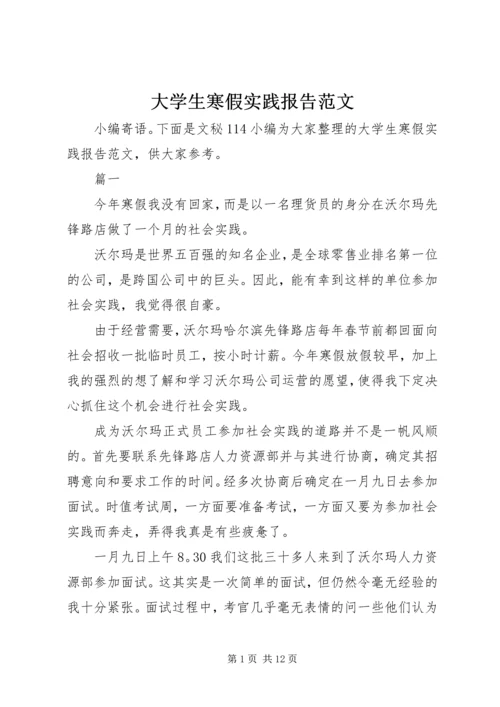 大学生寒假实践报告范文.docx