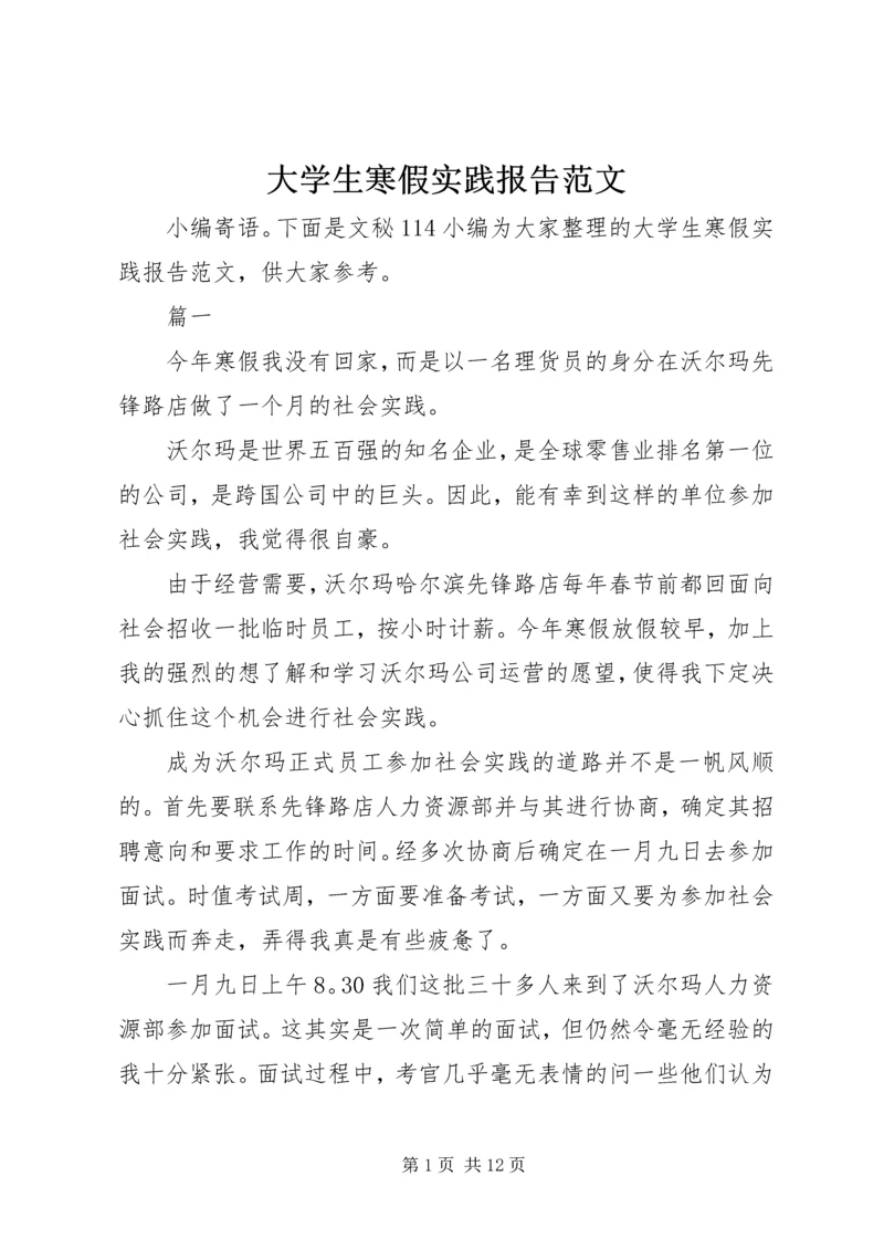 大学生寒假实践报告范文.docx