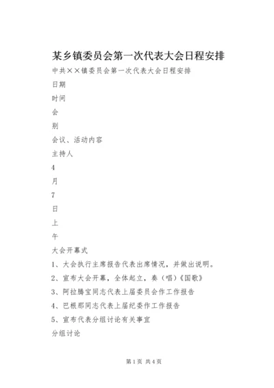 某乡镇委员会第一次代表大会日程安排 (2).docx