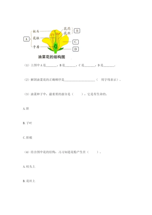 科学四年级下册第一单元植物的生长变化测试卷【考点精练】.docx