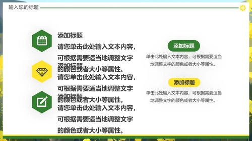 油菜花摄影，油彩花开PPT模板