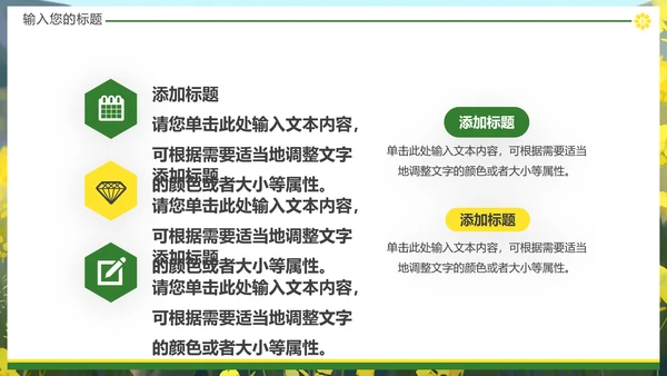 油菜花摄影，油彩花开PPT模板