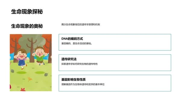 高中遗传学教学PPT模板