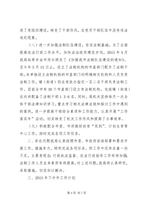 法制局上半年工作总结和XX年下半年工作计划.docx