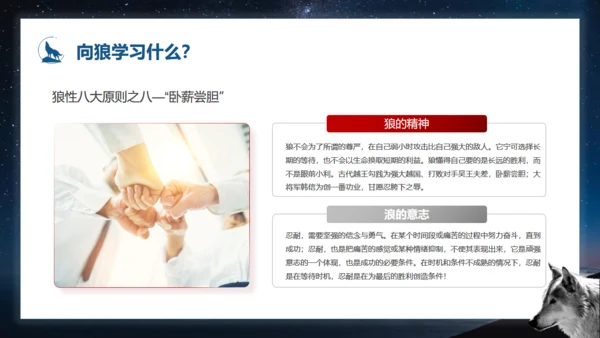 如何打造狼性团队培训狼文件通用PPT模板