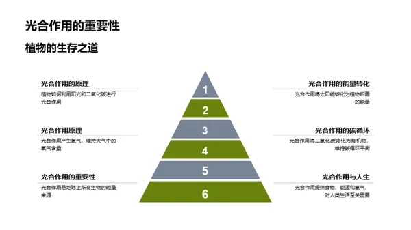 探索植物世界