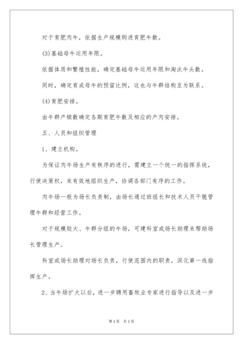 2022养牛创业项目计划书.docx