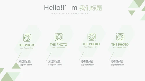 录色医生进修个人总结动态动态PPT