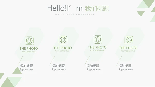 录色医生进修个人总结动态动态PPT