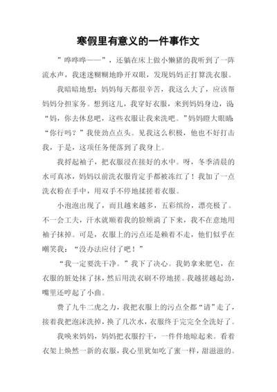 寒假里有意义的一件事作文.docx